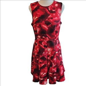 Red and Black Sleeveless Dress